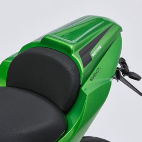 Kawasaki Ninja 650 rg. 2020-2025 Bodystyle Sdecover Egoskal