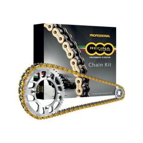 Triumph Daytona/ Street Triple 675 Kde Kit Regina Gold ZRT-Serie 525 Z-Ring 16/47