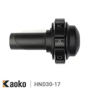 Honda Cruise Control Kaoko HND30-17